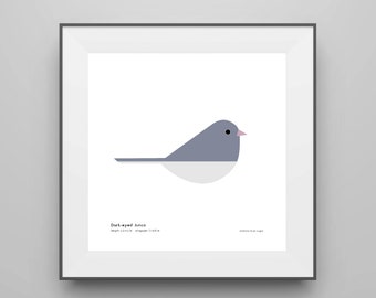 Dark-eyed Junco Art Print / Field Guide / Bird Poster / Bird Illustration / Vector Art / Bird Decor / Minimalist Wall Art / Signed