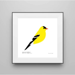 American Goldfinch Art Print/ Field Guide/ Bird Poster/ Songbird / Bird Decor / Minimalist Wall Art / Signed