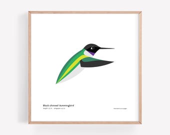 Impresión artística de colibrí de barbilla negra / Ilustración minimalista moderna de pájaro / Impresión giclée / Spiggle Studio