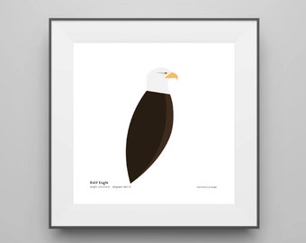 Bald Eagle Art Print / Field Guide / Bird Poster / Bird Illustration / Vector Art / Bird Decor / Minimalist Wall Art / Signed