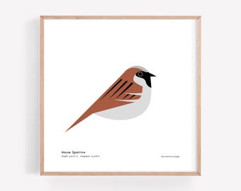 Impresión artística de gorrión doméstico / Ilustración minimalista moderna de pájaro / Impresión giclée / Spiggle Studio
