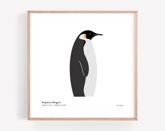 Impresión artística de pingüino emperador / Ilustración minimalista moderna de pájaro / Impresión giclée / Spiggle Studio
