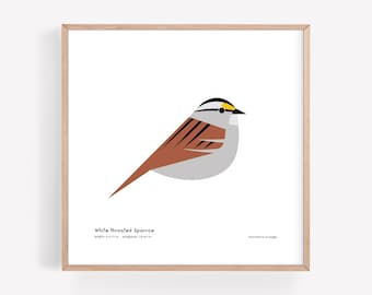 Impresión artística de gorrión de garganta blanca / Ilustración minimalista moderna de pájaro / Impresión giclée / Spiggle Studio