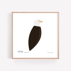 Bald Eagle Art Print: Minimalist Bird Illustration