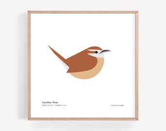 Impresión artística de Carolina Wren / Ilustración minimalista moderna de pájaro / Impresión giclée / Spiggle Studio