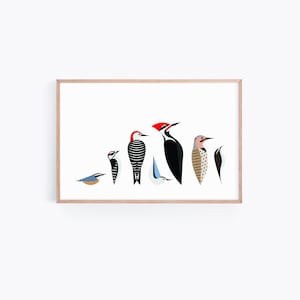 Póster de pájaros aferrados a los árboles / Ilustración de naturaleza moderna / Impresión artística minimalista