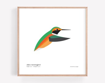 Impresión artística de colibrí de Allen / Ilustración minimalista moderna de pájaro / Impresión giclée / Spiggle Studio