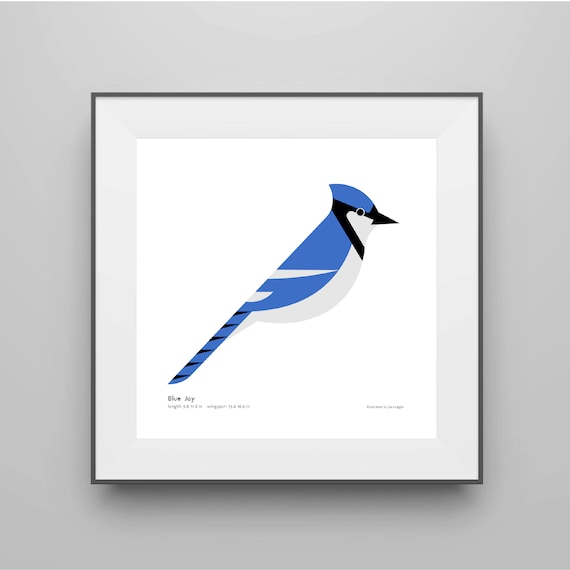 Premium Vector  Hand drawn solid color blue jay bird illustration