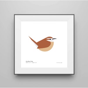 Carolina Wren Art Print / Field Guide / Bird Poster / Bird Illustration / Vector Art / Bird Decor / Minimalist Wall Art / Signed