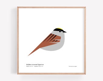 Impresión artística de gorrión de corona dorada / Ilustración minimalista moderna de pájaro / Impresión giclée / Spiggle Studio