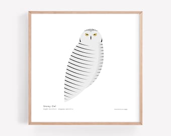 Impresión artística de búho nival / Ilustración minimalista moderna de pájaro / Impresión giclée / Spiggle Studio
