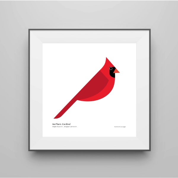 Cardinal Art Print / Field Guide / Bird Poster / Songbird / Bird Decor / Minimalist Wall Art / Signed