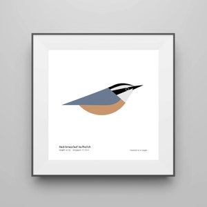 Red-breasted Nuthatch Art Print / Field Guide / Bird Illustration / Nature Decor / Minimalist Wall Art / Signed