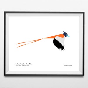 Indian Paradise Flycatcher Art Print / Bird Illustration / Graphic Design Bird / Bird Decor / Animal Wildlife / Minimalist Wall Art / Signed