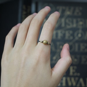 The Invisible Life of Addie LaRue Wire Ring