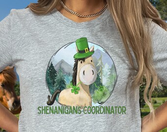Puede incluir: Una camiseta gris de manga corta con una ilustración de dibujos animados de un caballo con un sombrero verde y sosteniendo un trébol. El texto "Shenanigans Coordinator" está impreso debajo de la imagen.
