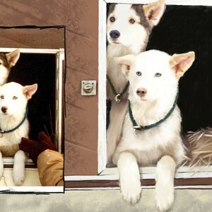 May include: Three white dogs with blue eyes peek out of a wooden doghouse. The dog in the front has a green collar, the dog in the middle has a black collar, and the dog in the back has a black and white collar.