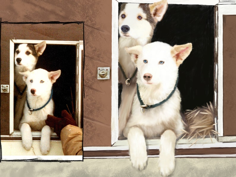 May include: Three white dogs with blue eyes peek out of a wooden doghouse. The dog in the front has a green collar, the dog in the middle has a black collar, and the dog in the back has a black and white collar.