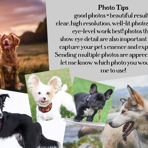 May include: A collage of four different dog photos. The first photo shows a brown dog sitting in a field. The second photo shows a white dog with floppy ears. The third photo shows a black and white dog with a red harness. The fourth photo shows a grey and white dog with brown eyes.