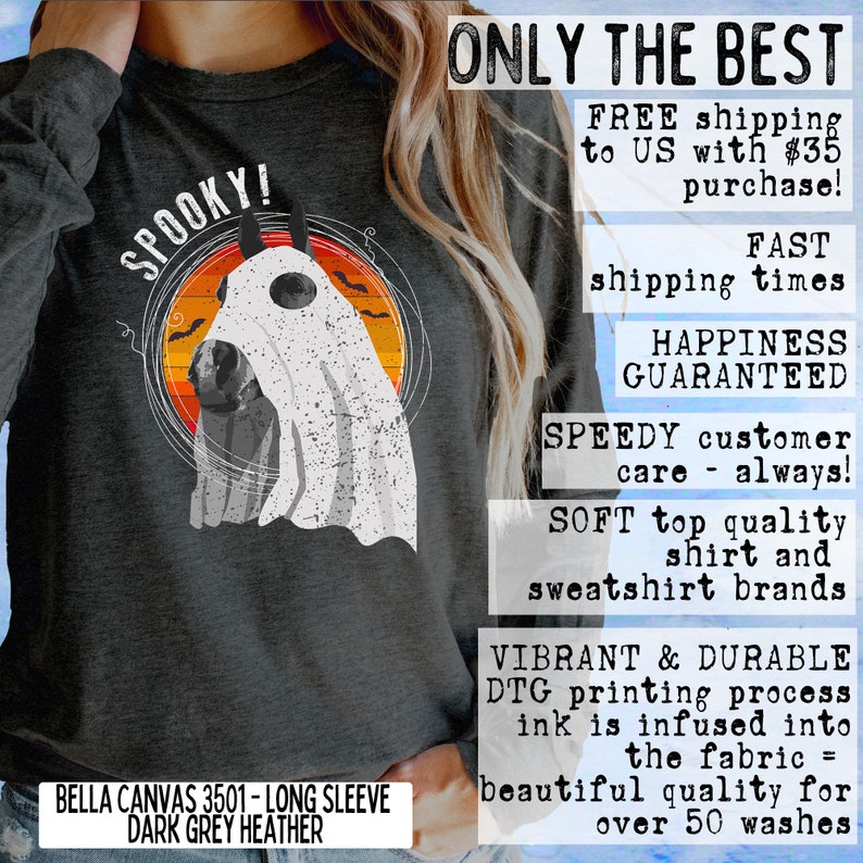 May include: A dark grey long-sleeve shirt with a graphic of a horse wearing a ghost costume. The text "SPOOKY!" is printed on the shirt. The shirt is made by Bella Canvas and is a size 3501.