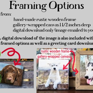 May include: Framing options for a pet portrait. Choose from a hand-made rustic wooden frame, a gallery-wrapped canvas that is 1 1/2 inches deep, or a digital download. A digital download of the image is also included with the framed options as well as a greeting card download.