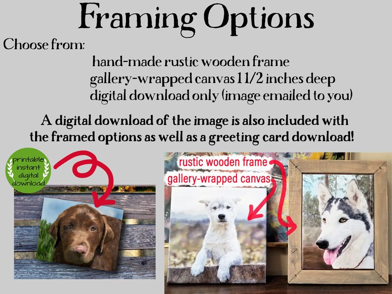 May include: Framing options for a pet portrait. Choose from a hand-made rustic wooden frame, a gallery-wrapped canvas that is 1 1/2 inches deep, or a digital download. A digital download of the image is also included with the framed options as well as a greeting card download.