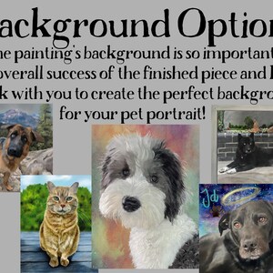 May include: A collage of four pet portraits with different backgrounds. The portraits include a German Shepherd, a cat, a doodle, and a black Labrador. The text "Background Options" is at the top of the image. The text "The painting's background is so important to the overall success of the finished piece and I will work with you to create the perfect background for your pet portrait!" is below the collage.