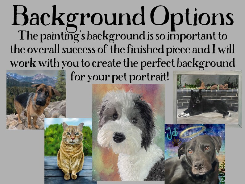 May include: A collage of four pet portraits with different backgrounds. The portraits include a German Shepherd, a cat, a doodle, and a black Labrador. The text "Background Options" is at the top of the image. The text "The painting's background is so important to the overall success of the finished piece and I will work with you to create the perfect background for your pet portrait!" is below the collage.