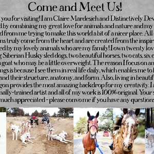 May include: A collage of images featuring a woman with a team of Siberian Husky sled dogs, two horses, and a variety of other animals. The text reads "Come and Meet Us!" and includes a description of the artist's work and inspiration.