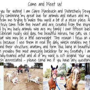 May include: A handwritten note about the artist's love of animals and nature, and how they inspire her art. The note is accompanied by photos of Siberian Huskies, horses, and cats.