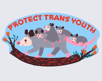 car magnet, Protect Trans Youth (no residue, easy to relocate, strong, waterproof) - MAGNET (3 * 5")