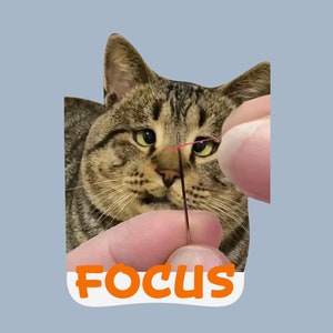 May include: A brown tabby cat with green eyes looks intently at a needle and thread held by a hand. The cat's expression is serious and focused. The word "FOCUS" is written in orange letters below the cat.