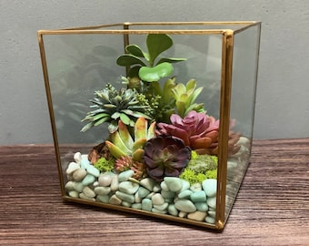 Glass Terrarium, Antique Gold Cube, Amazonite, Artificial Succulents, Handmade, Gift