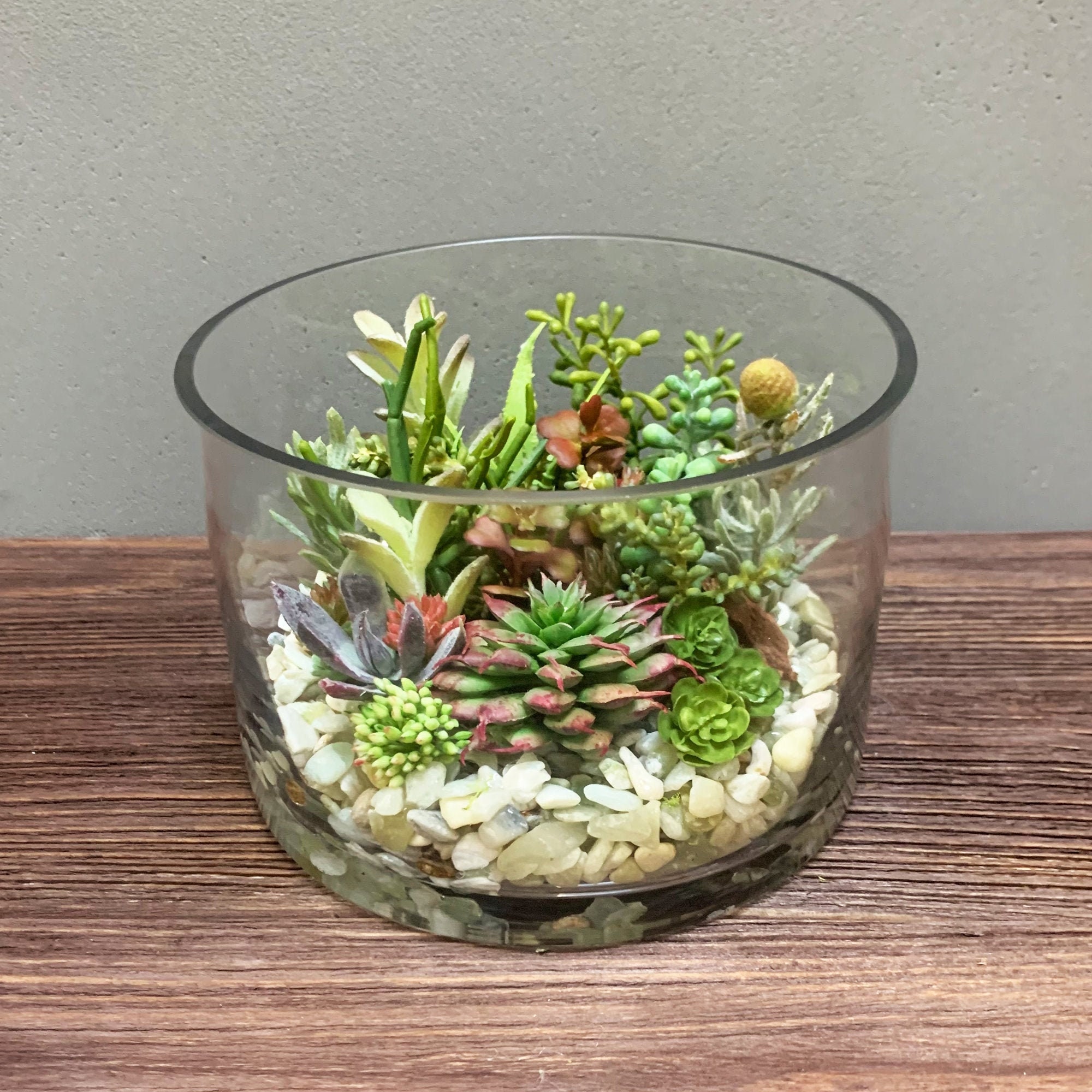 Harry Potter Terrarium With Figurines Cactus/succulents/vase 