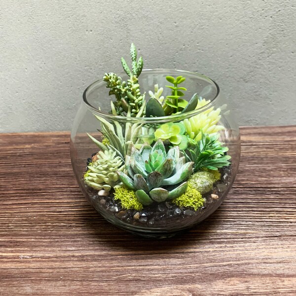 Glass Terrarium Ball Etsy