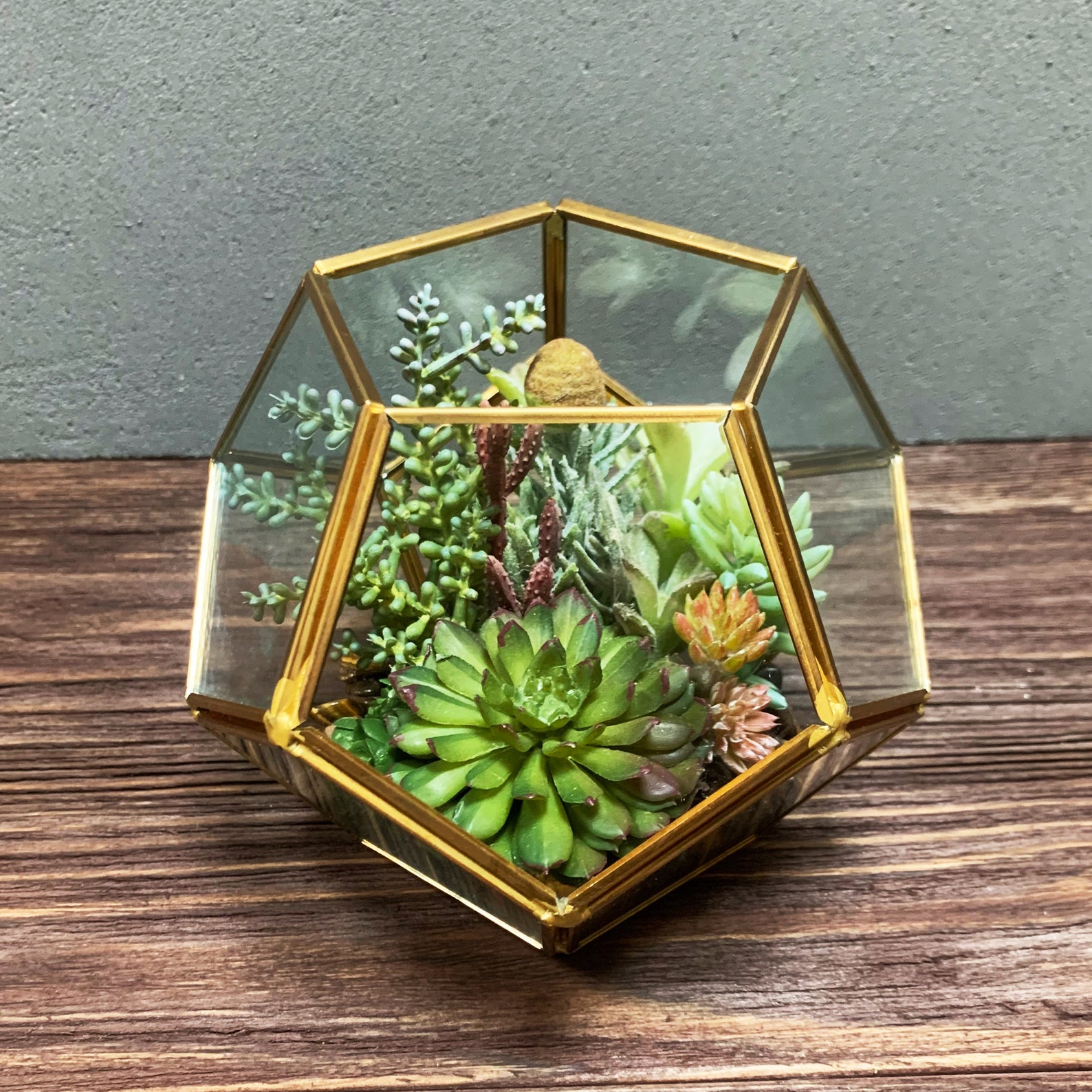 Glass Terrarium Antique Gold Geometric Hexagon Tiger's Etsy