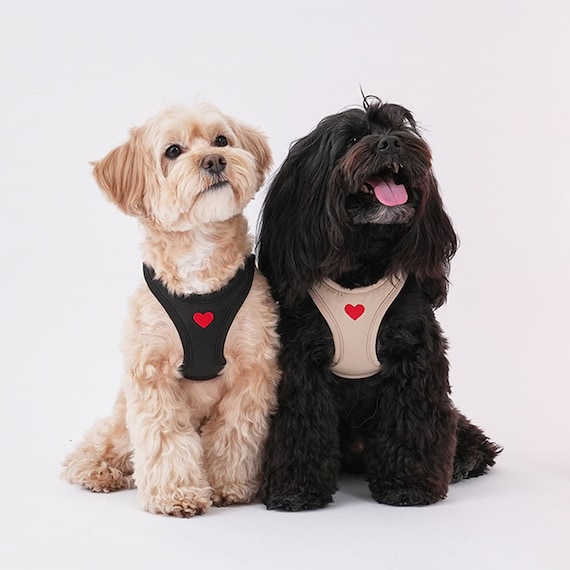 Air Mesh Dog Harness Water Proof Heart Dog Harness and Leash Etsy