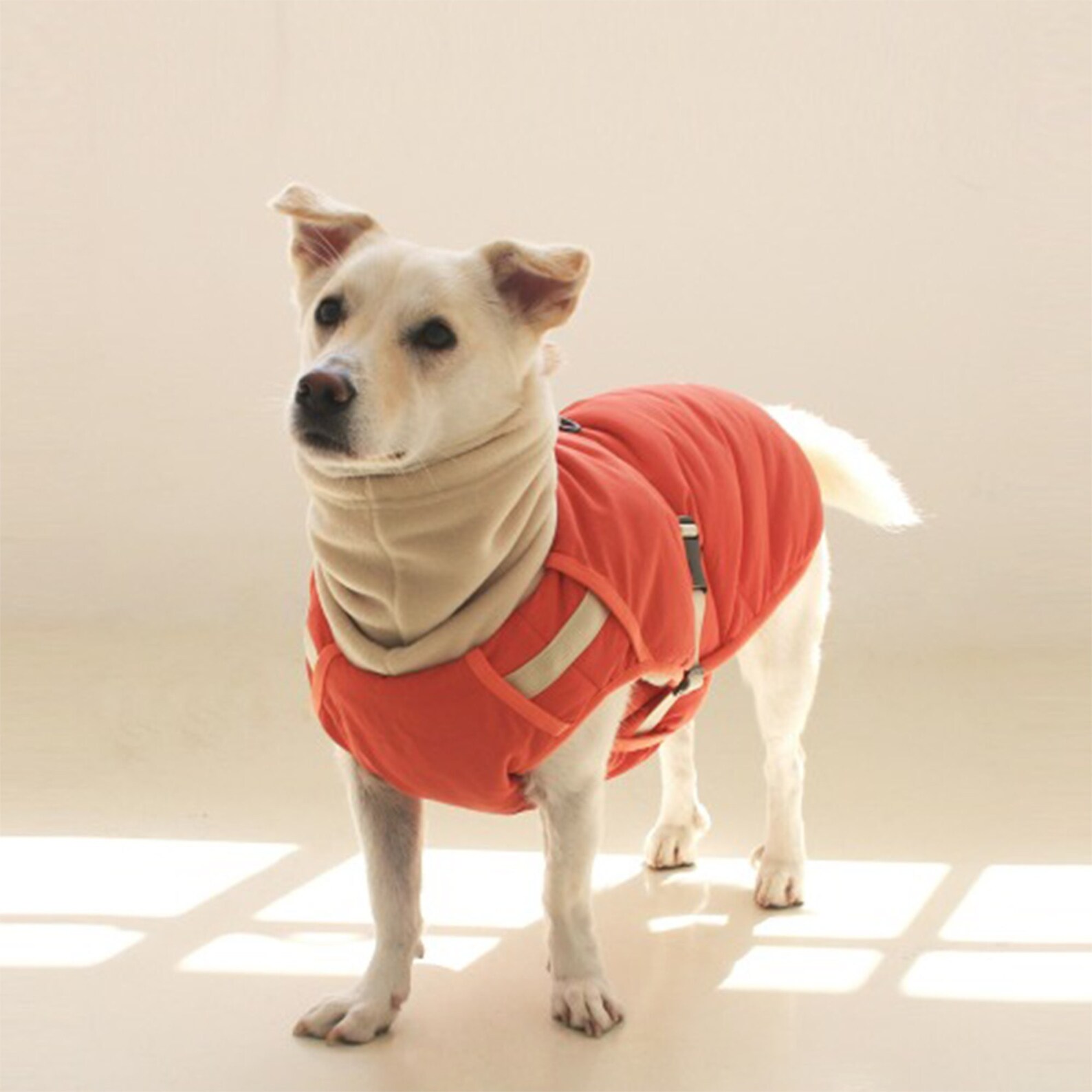 Dog Harness Jacket Harness Padded Jacket Dog Clothes Dog Etsy