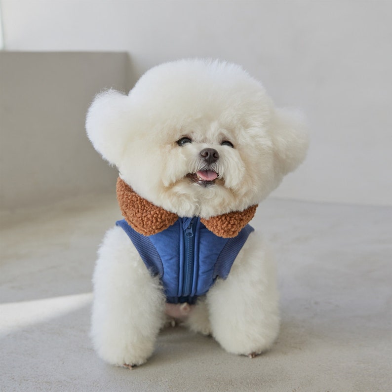 Dog Puffer Jacket Igloo Harness Puffer Jacket Dog Clothes Etsy