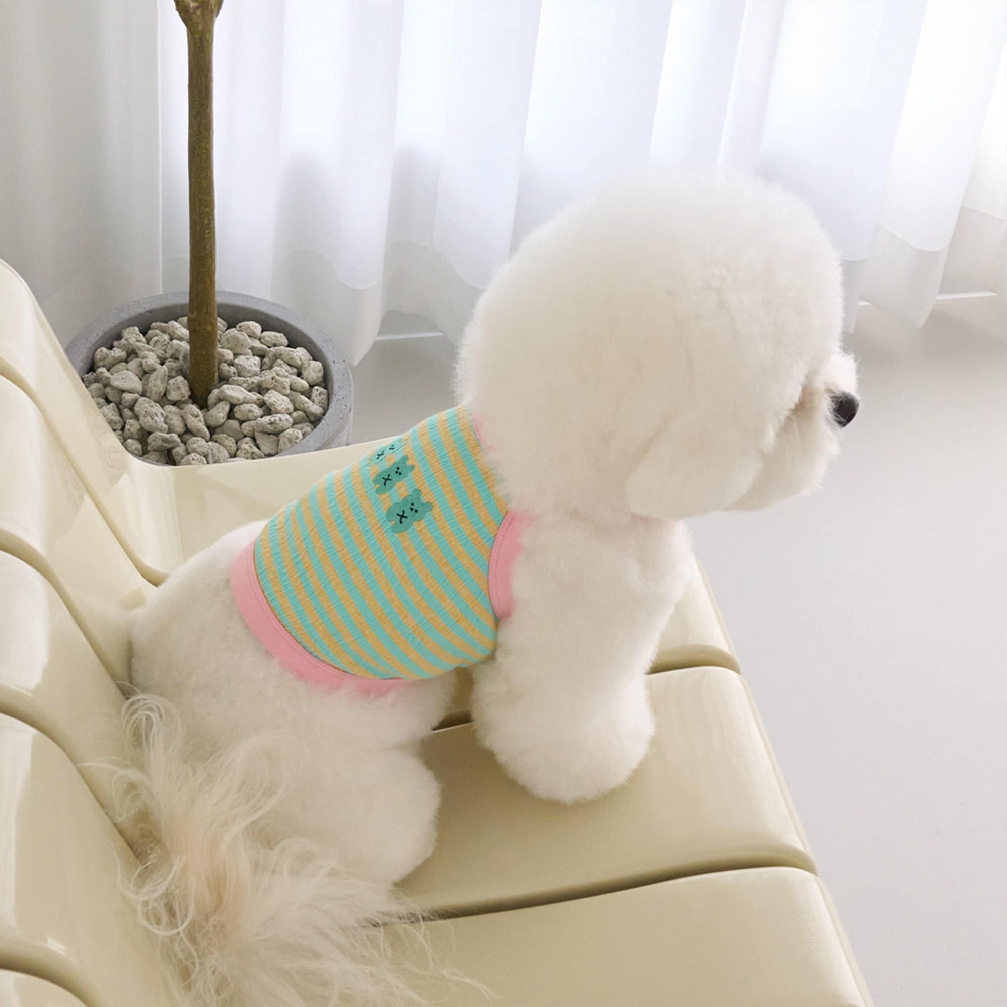 Tiny Bear Crop Top Dog Shirt Top Dog Clothes Dog Etsy