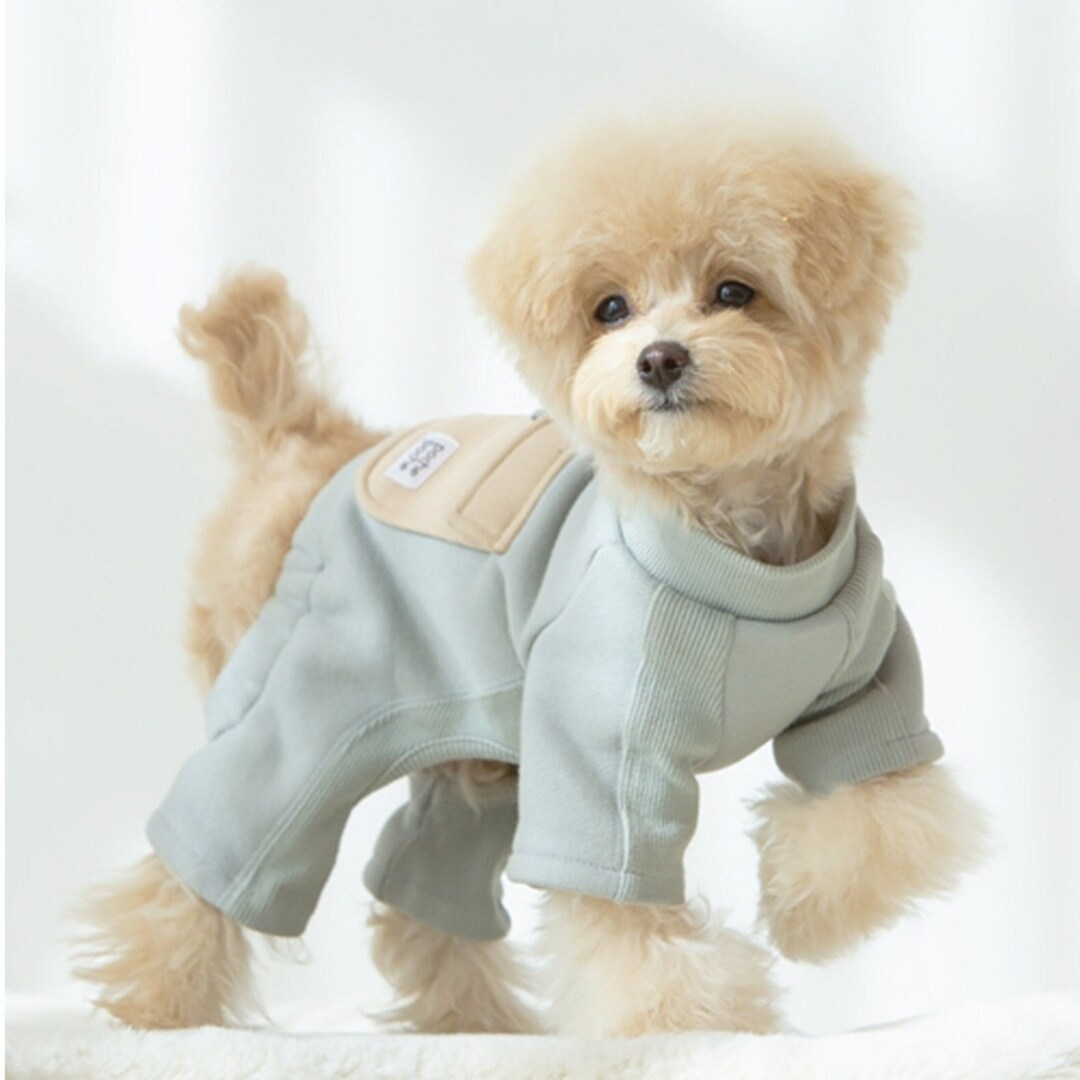 Pocket Allinone Dog Jumpsuit Clothes for Dog, Puppy Dog, Puppy