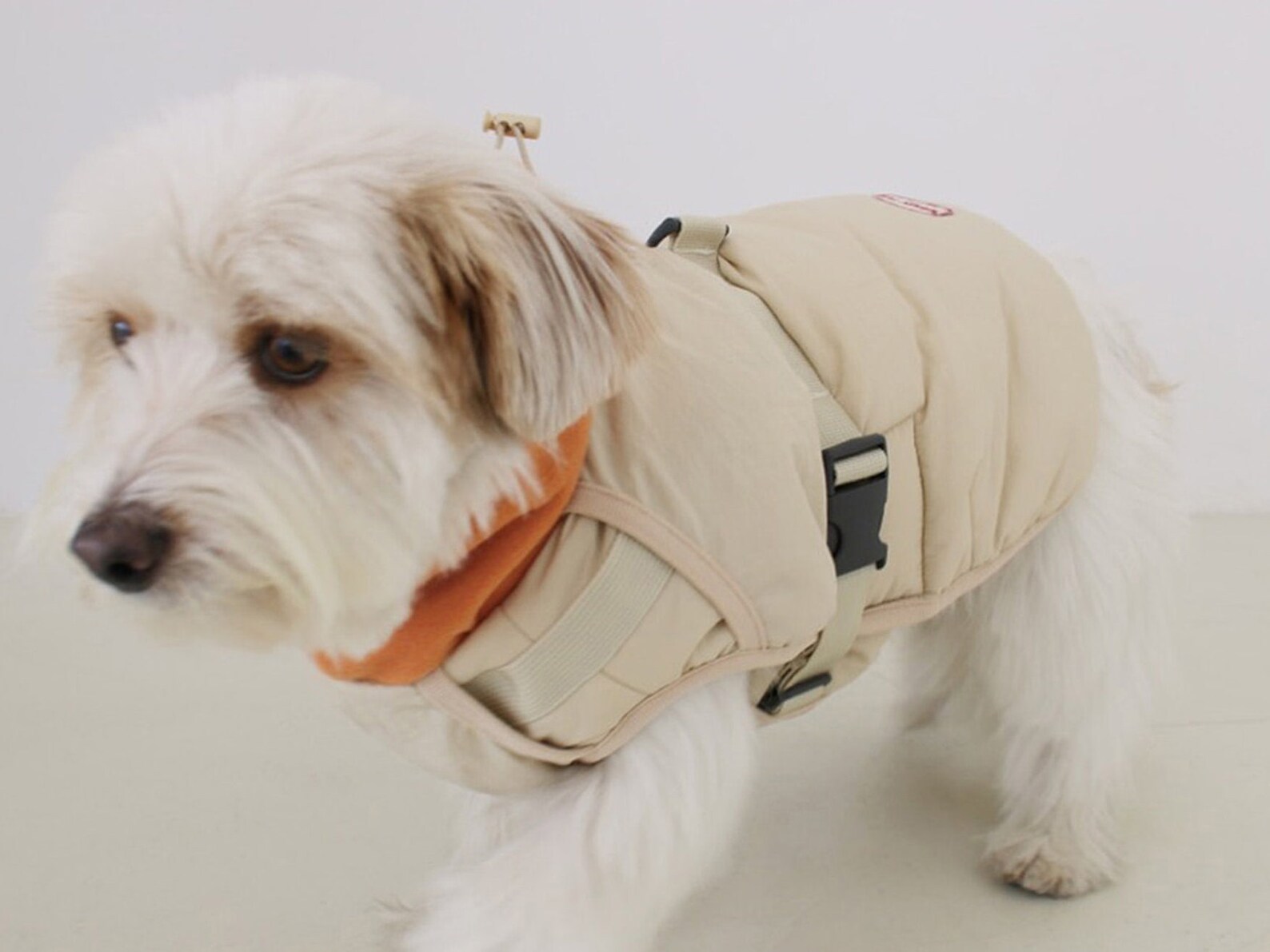 Dog Harness Jacket Harness Padded Jacket Dog Clothes Dog Etsy