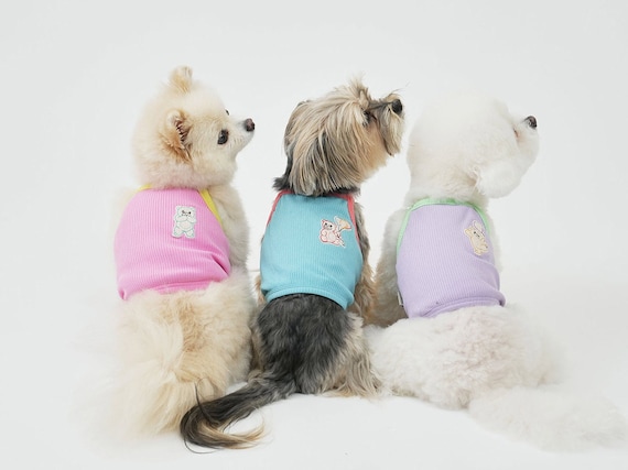 Petite dog store clothes