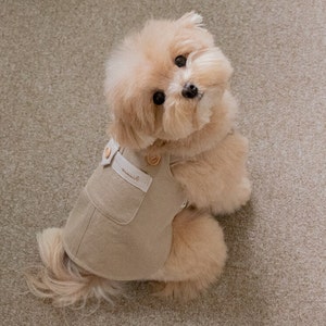 Natural Pocket Overall Jumpsuit Dog Clothes for Dog, Puppy Dog Clothing Puppy Clothing Pet Fashion Dog Apparel Puppy Clothes image 3