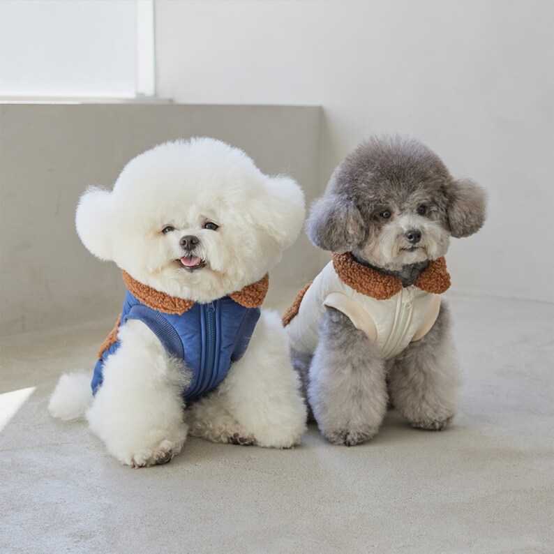 Dog Puffer Jacket Igloo Harness Puffer Jacket Dog Clothes Etsy