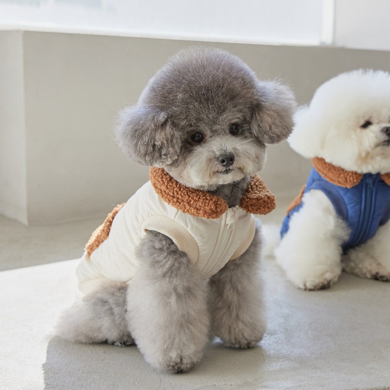 Dog Puffer Jacket Igloo Harness Puffer Jacket Dog Clothes Etsy