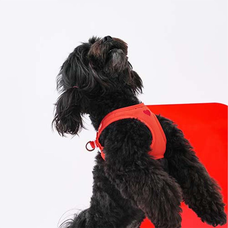 Air Mesh Dog Harness Water Proof Heart Dog Harness and Leash Etsy