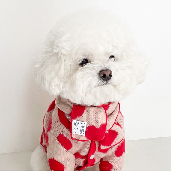 Red Heart Holiday Dog Sweater