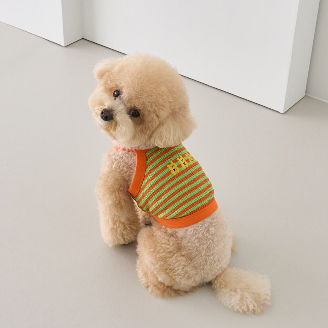 Tiny Bear Crop Top Dog Shirt Top Dog Clothes Dog Etsy