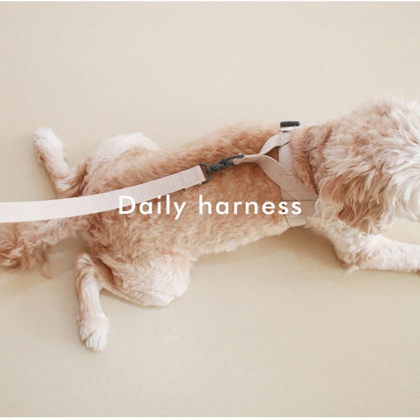 Selbstgefärbtes Hundegeschirr | Tägliches Hunde Geschirr und Leine Set | Kleine Mittelgroße Hundegeschirr | Kein Pull Hundegeschirr | Verstellbares Hundegeschirr